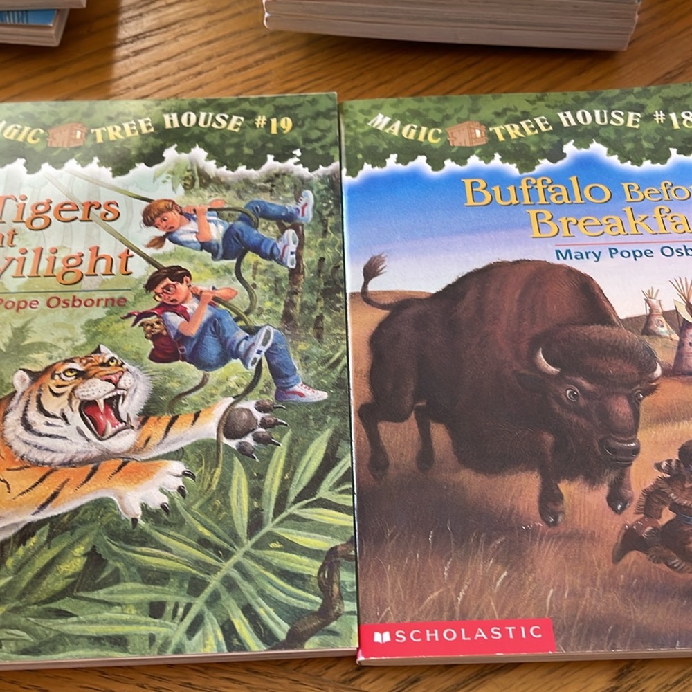 Magic Tree House Softcover Chapter Books #4 to #28 (25 books) NEW Condition - Picture 11 of 15